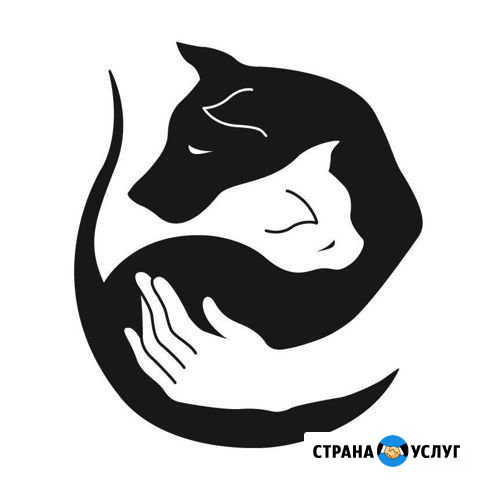 Стрижка и уход для кошек и собак без наркоза Южный Кемерово - изображение 1