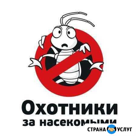 Дезинфекция, Дезинсекция Набережные Челны - изображение 1