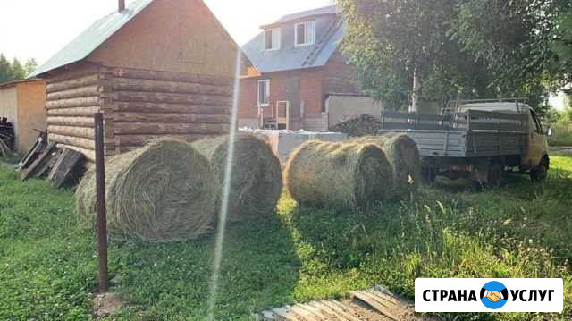 Сено луговое (разнотравие) в рулонах Завьялово - изображение 1