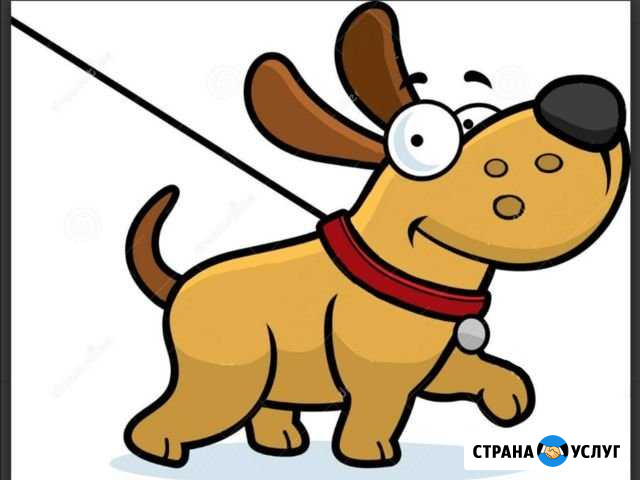 Выгуливаю четвероногих друзей) Санкт-Петербург - изображение 1