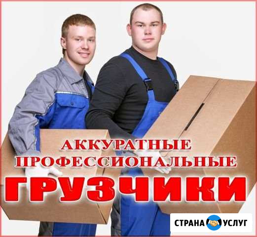 Переезды, грузчики Омск - изображение 1