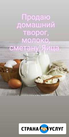 Домашний творог, молоко, сметана Кимры - изображение 1