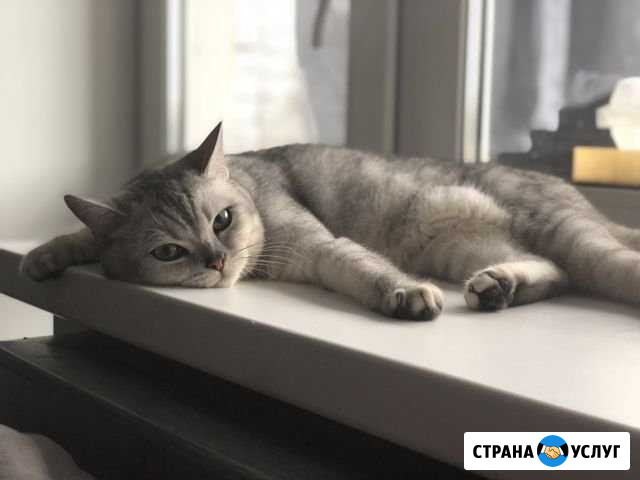 Вязка Хабаровск - изображение 1