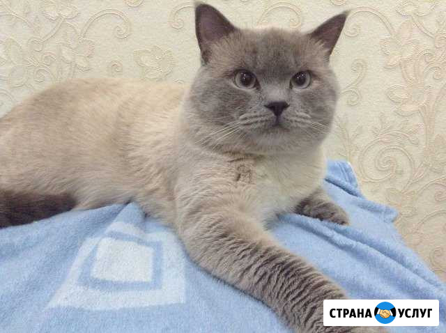 Вязка Таганрог - изображение 1