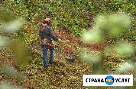 Покос травы, уборка участков Самара