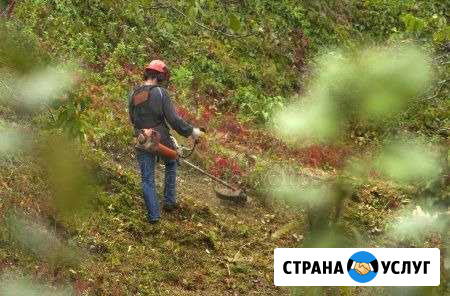 Покос травы, уборка участков Самара - изображение 1