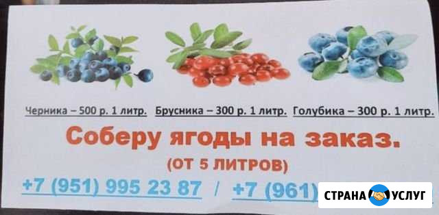 Ягодки на заказ Салехард - изображение 1