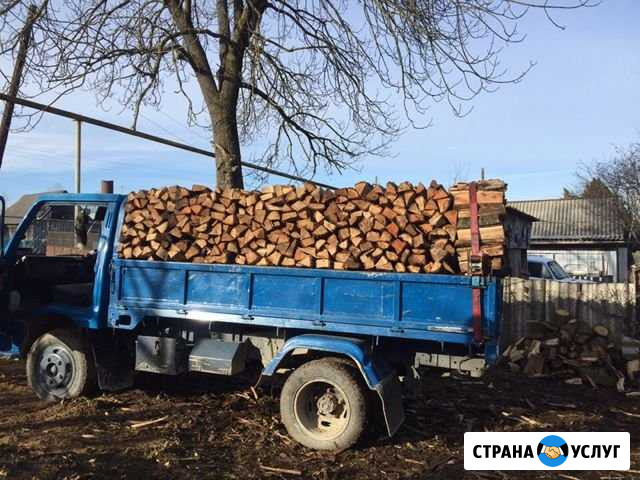 Дрова дуб Дондуковская - изображение 1