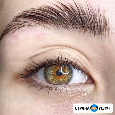 Ламинирование ресниц/бровей Санкт-Петербург - изображение 1
