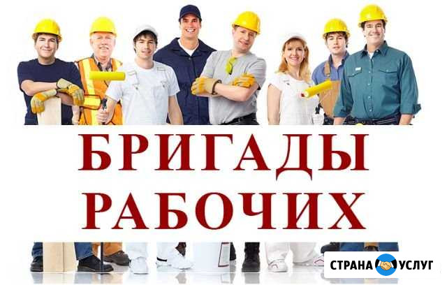 Разнорабочие.Землекопы.Демонтаж.Грузчики Чебоксары - изображение 1