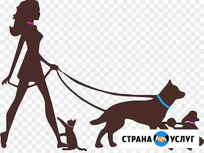 Выгул собак Кимры - изображение 1