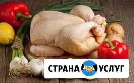 Доставка домашнего бройлера Пенза - изображение 1