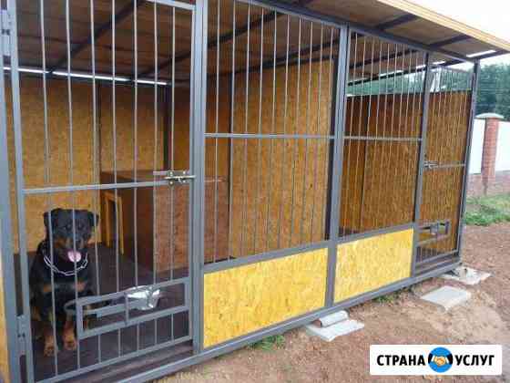 Зоогостиница для собак, передержка Ижевск