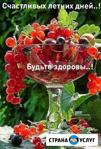 Учусь и практикуюсь Нижний Новгород - изображение 1