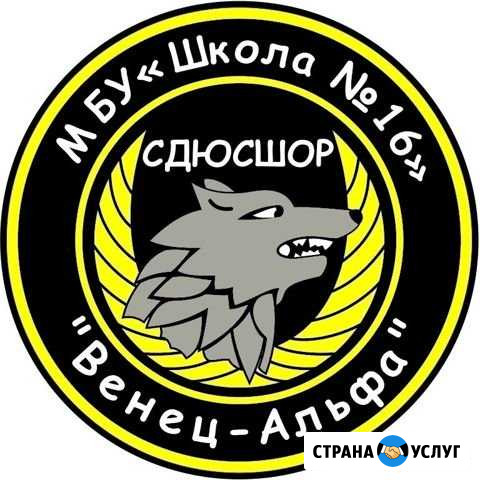 Дюсш «Венец-Альфа» Тольятти - изображение 1