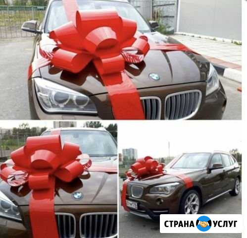 Бант для авто Дубовое - изображение 1