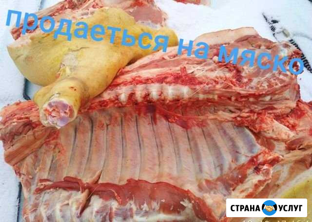 Свежее мяско Рассказово - изображение 1