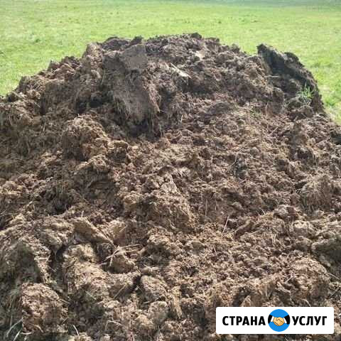 Навоз Дорогобуж - изображение 1