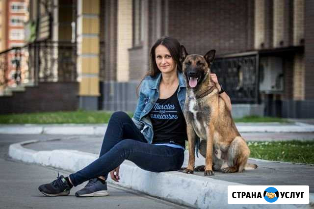 Дрессировка Новосибирск - изображение 1