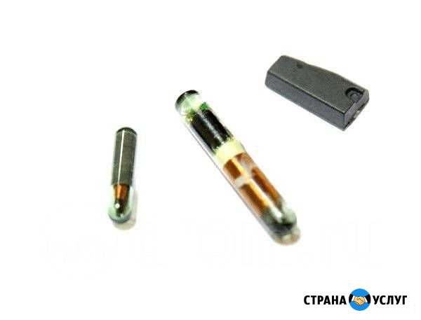 Программирование чипов иммобилайзера Новопавловск - изображение 1
