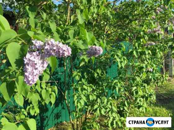 Забор профнастила Рязань
