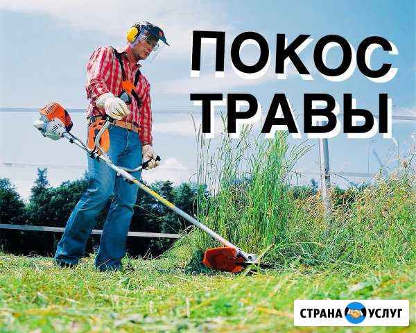 Покос травы и бурьяна Великие Луки - изображение 1
