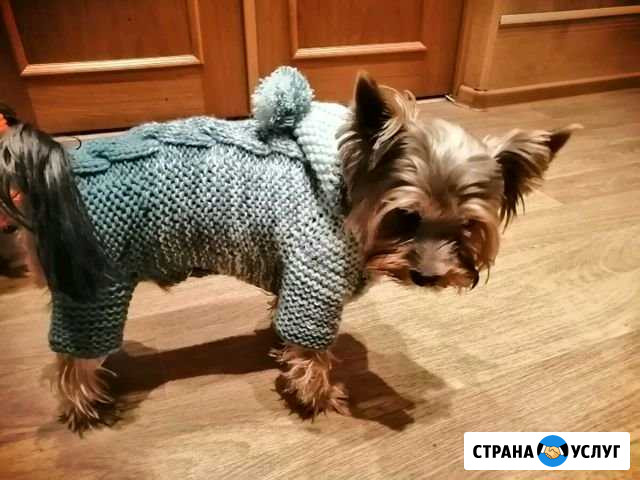 Вязаная одежда для собак на заказ Таганрог - изображение 1