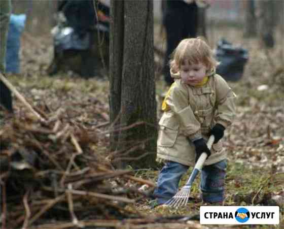 Ландшафтный дизайн Зеленый доктор Ижевск