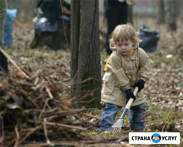 Ландшафтный дизайн Зеленый доктор Ижевск - изображение 1