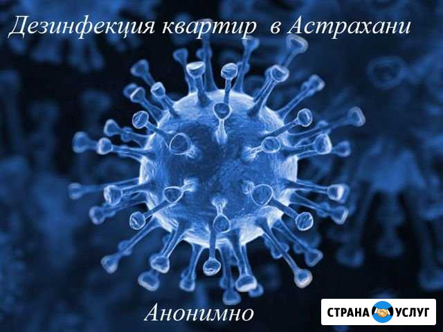 Дезинфекция домов и квартир в Астрахани Астрахань - изображение 1