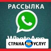 Реклама в WhatsApp Брянск - изображение 1