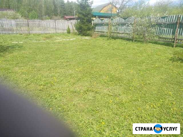 Покос травы Кольчугино - изображение 1