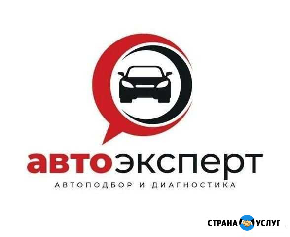 Выездная диагностика. автоподбор Архангельск - изображение 1