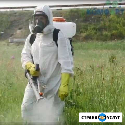 Уничтожение тараканов, клещей. Дезинфекция Иваново - изображение 1