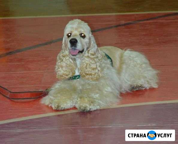 Фото Новосибирск - изображение 1