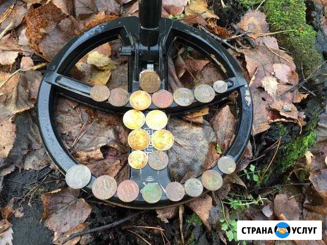 Аренда металлоискателя, Поиск металлоискателем Сочи - изображение 1