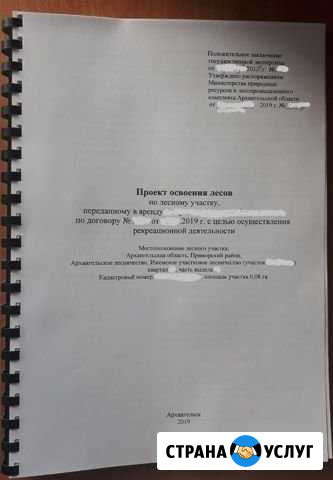Оформление документов аренды лесного участка Архангельск - изображение 1