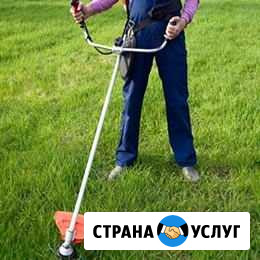 Покос травы,обрезка кустарников Иваново - изображение 1
