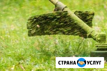 Покос травы, пилка деревьев и кустов, стрижка плющ Лабинск - изображение 1