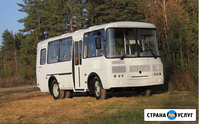 Аренда автобуса Паз Пассажирские перевозки Орёл - изображение 1