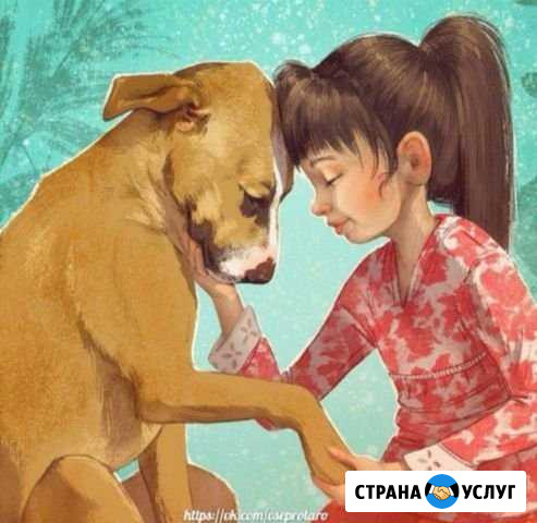 Забота о ваших питомцах,передержка Тюмень - изображение 1
