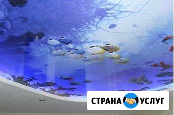 Натяжные потолки Химки - изображение 1