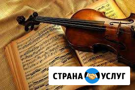 Обучение игре на скрипке Ростов-на-Дону - изображение 1