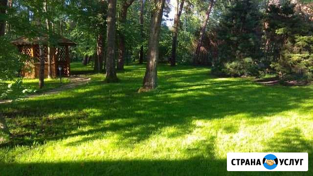 Благоустройство,озеленение,ландшафт Калининград - изображение 1