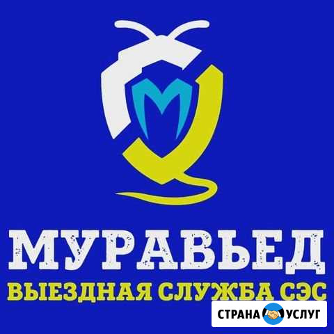 Травим клопов, тараканов, мышей гарантия Улан-Удэ - изображение 1