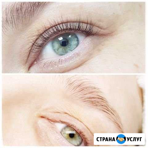 Окрашивание бровей хна/краска; Бийск - изображение 1