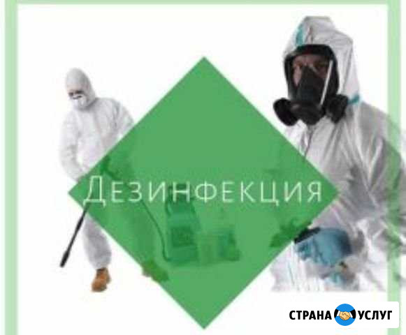 Уничтожение тараканов и клопов, запахов, плесени Тула - изображение 1