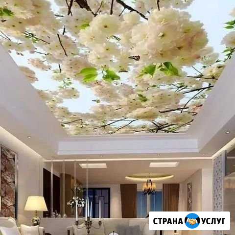 Натяжные потолки - карниз в подарок Курск - изображение 1