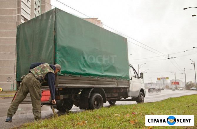 Вывоз мусора Сергиев Посад, грузчики, Газель, контейнер Сергиев Посад - изображение 2