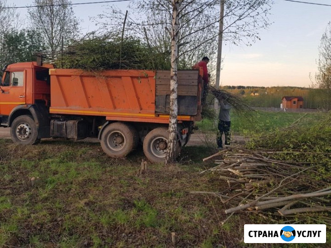 Вывоз спиленных деревьев, кустарников Омск - изображение 1